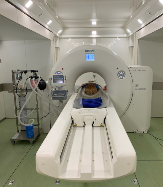 A photograph of the CT scanner at Park House Vets in Stafford.