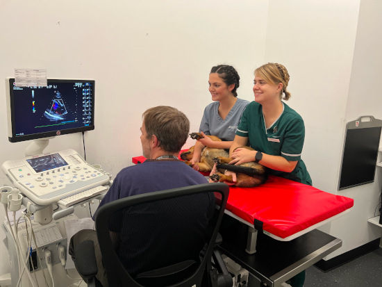 A photograph of Dr Ben performing ultrasonography at Park House vets in Stafford.