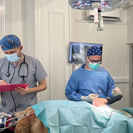 A photograph of Dr Nick performing orthopaedic surgery at Park House Vets Stafford