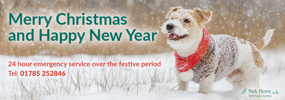 Merry Christmas and Happy New Year - 24 hour emergency service over the festive period. Tel: 01785 252846