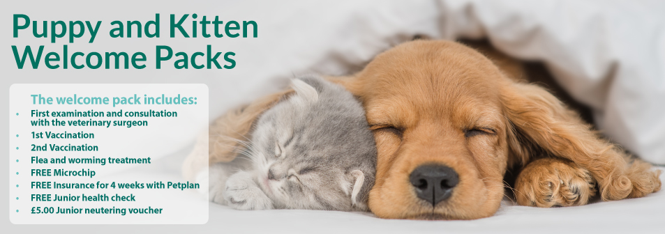Park House Veterinary Centre Cares For all Animals Including Puppies and Kittens